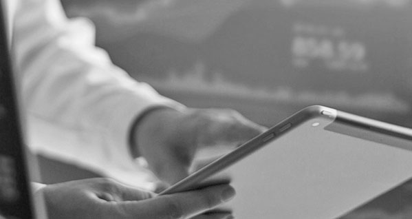 expert looking at financial data on a tablet