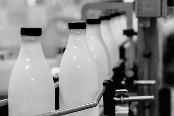 milk processing plant