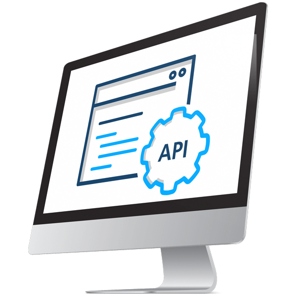 Descartes Datamyne Global Trade Data API displayed on a computer screen